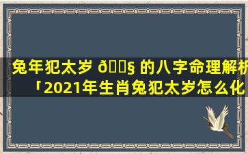 兔年犯太岁 🐧 的八字命理解析「2021年生肖兔犯太岁怎么化解」